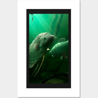 Green fish in the water Posters and Art